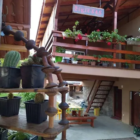 Zigic Apartment Soko Banja