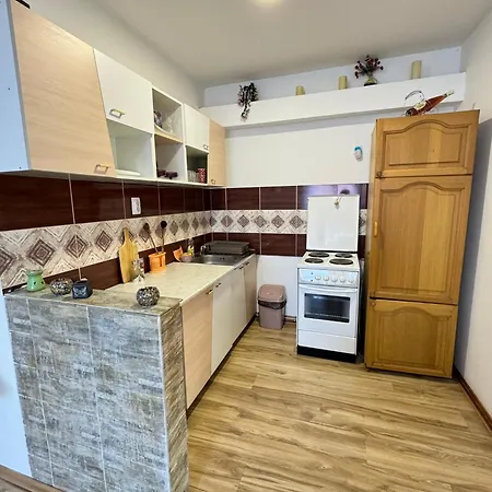 Zigic Apartment Soko Banja