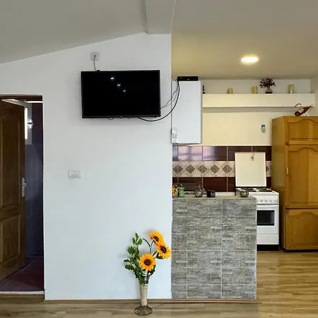 Апартаменты Zigic Сокобаня