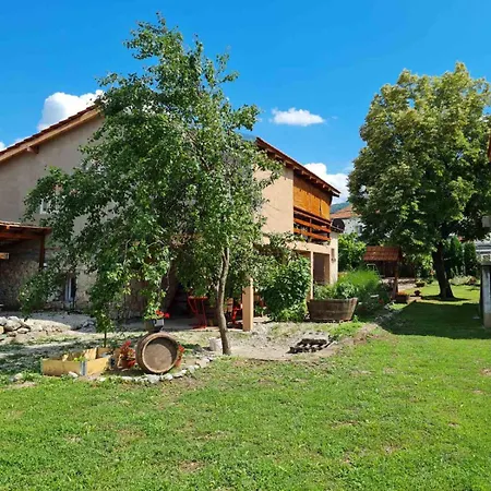 Zigic Апартаменты *