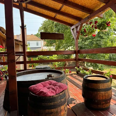 Апартаменты Zigic *