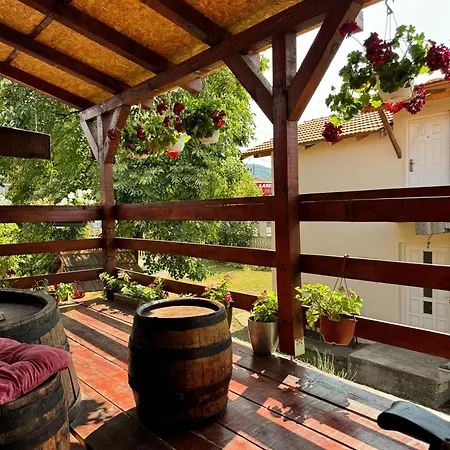 Apartment Zigic Soko Banja