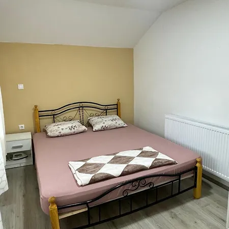 Zigic * Сокобаня