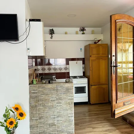 Zigic * Сокобаня