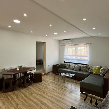 Zigic Apartment Soko Banja