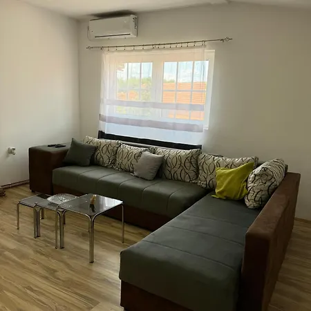 Zigic * Сокобаня