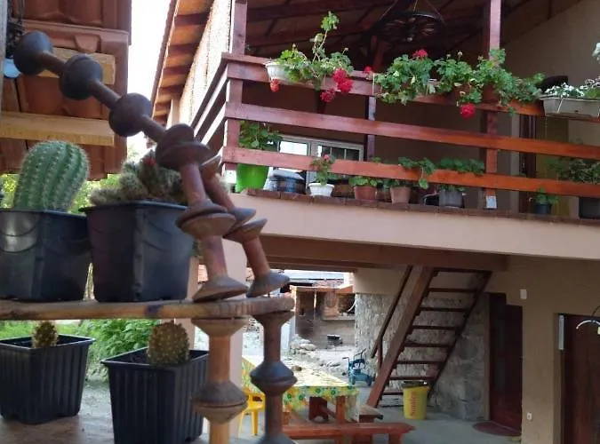 Zigic Apartman Soko Banja