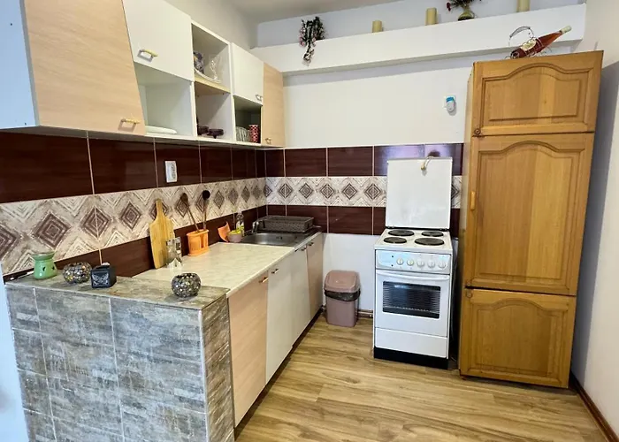 Zigic Apartman Soko Banja