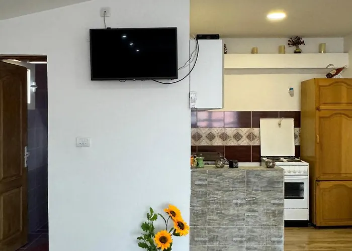 Apartman Zigic Soko Banja