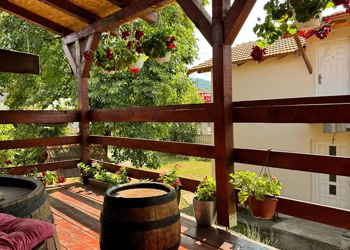 Apartman Zigic Soko Banja