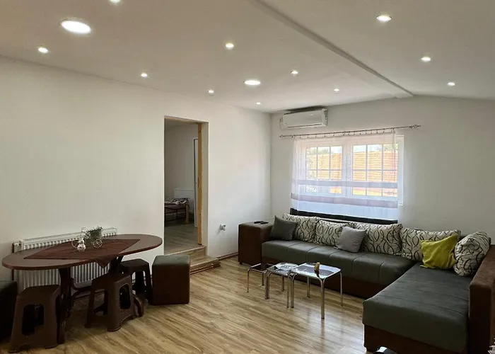 Zigic Daire Soko Banja